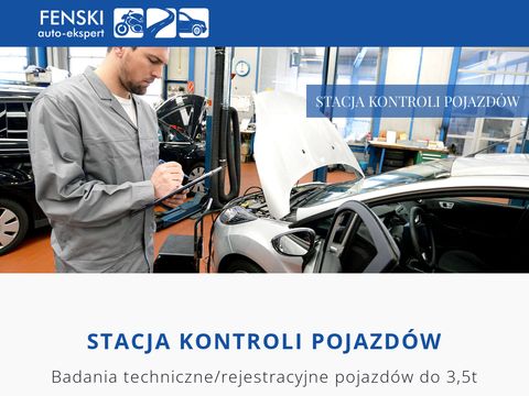 Fenski auto diagnostyka Wejherowo