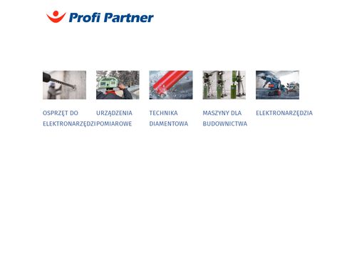 Profipartner.pl - tarcza diamentowa