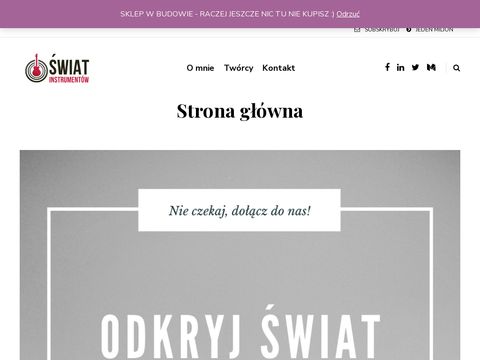 Sklep z instrumentami Świat Instrumentów