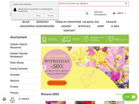 Cebule.pl sprzedaż cebul kwiatowych