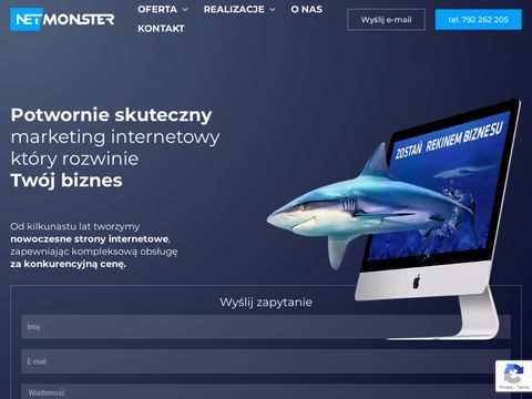 Netmonster.pl - pozycjonowanie