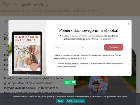 Angielskivibe.pl - lekcje angielskiego