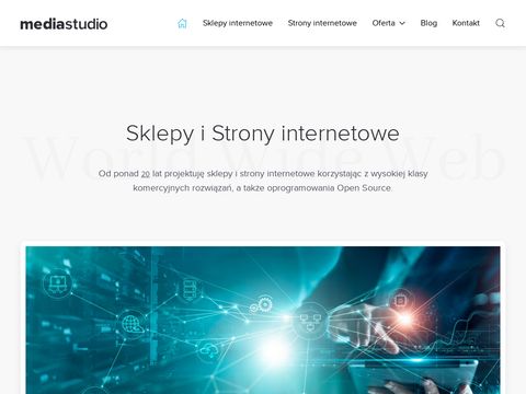 Mediastudio.pl - projektowanie sklepów