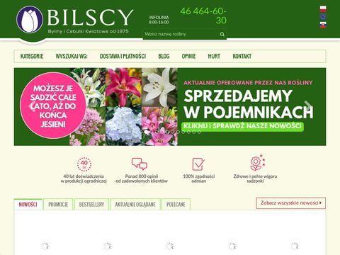 Bilscy.info - byliny ozdobne