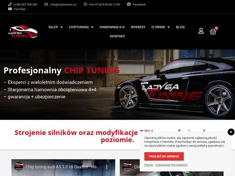 Chiptuningpro.pl profesjonalny