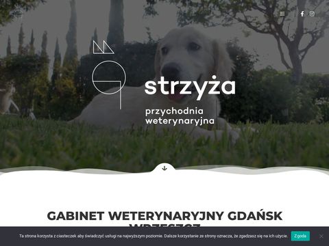 Przychodniastrzyza.pl - weterynaryjna Gdańsk