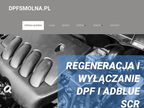 Dpfsmolna.pl naprawa Wrocław