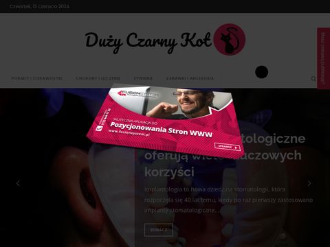 Duży Czarny Kot - wszystko dla kotów